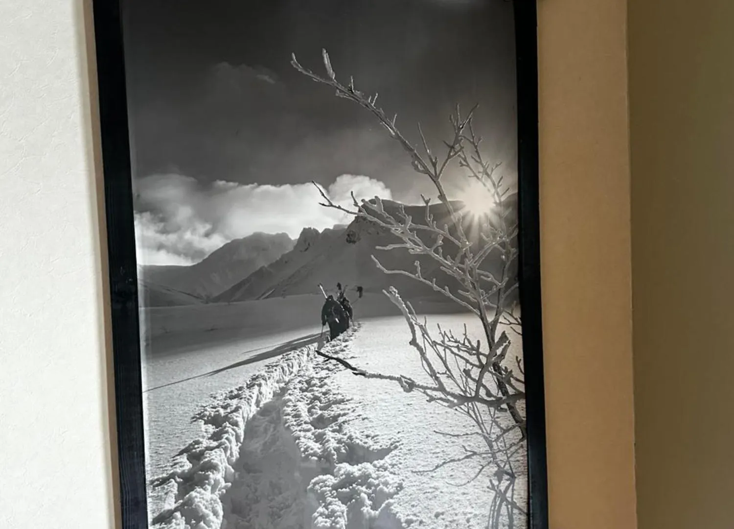 Freeride Backpackers Lodge Niseko